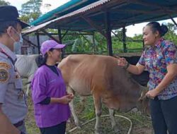 Disnak Keswan Mimika “Sisir” 16 Titik Pemotongan Hewan Kurban: Pastikan Daging Sehat