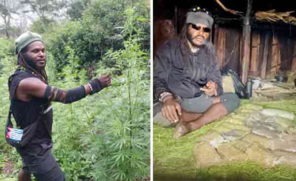 Update Kontak Tembak di Wamena: Satu KKB Tewas, Egianus Kogoya Bisnis Ganja 1 Egianus Kogoya Bisnis Ganja