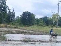 Kelompok Tani Desa Waesamu Siap Lakukan Penanaman Bibit Padi Tahap II