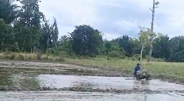 IMG 20250627 WA0021