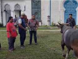 Ketua DPRD Maluku Berkurban Jelang Idul Adha 1446 H