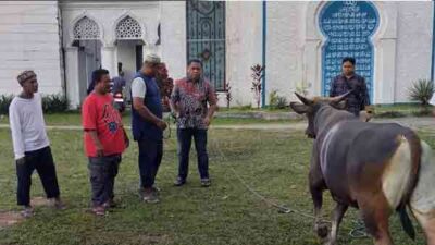 Ketua DPRD Maluku Berkurban Jelang Idul Adha 1446 H