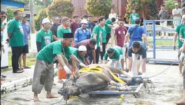 Pererat Silaturahmi, Kilang Kasim Berkurban bagi Masyarakat 5 Kilang Kasim berkuurba5