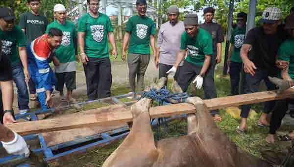Pererat Silaturahmi, Kilang Kasim Berkurban bagi Masyarakat 4 Kilang Kasim berkuurban4