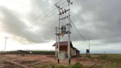 PLN Dukung PSN Pangan Merauke3