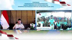 PLN Ratusan Pelanggan di Pedalaman Mappi Nikmati Listrik Bersih