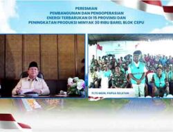 Ratusan Pelanggan di Mappi Papua Selatan Kini Nikmati Listrik Bersih PLN