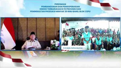 PLN Ratusan Pelanggan di Pedalaman Mappi Nikmati Listrik Bersih