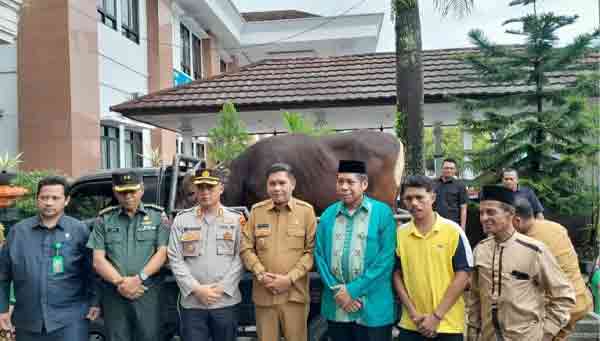 Pemkot Ambon 140 Hewan Kurban