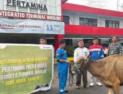 Pertamina Pamalu Salurkan 136 Hewan Kurban di Wilayah Ring 1 Perusahaan