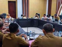 Legislator RI Ini Dorong Buru Jadi Penyangga Ketahanan Pangan Maluku