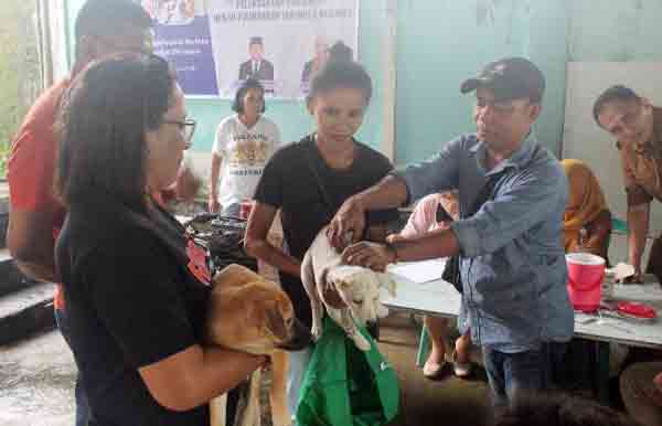 Vaksin Rabies 503 Hewan di Ambon