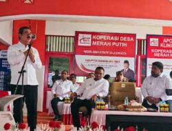 Hadiri Peluncuran Koperasi Merah Putih secara Daring, Ini Target Gubernur Maluku di SBT