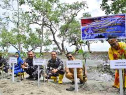 Cegah Abrasi: Satgas Trisila-25 dan Pemkab Nabire Tanam 1.000 Mangrove di Pesisir Samabusa
