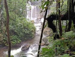Dorong Penggunaan Energi Bersih di Supiori, PLN Bangun PLTM Wabudori 1,2 MW