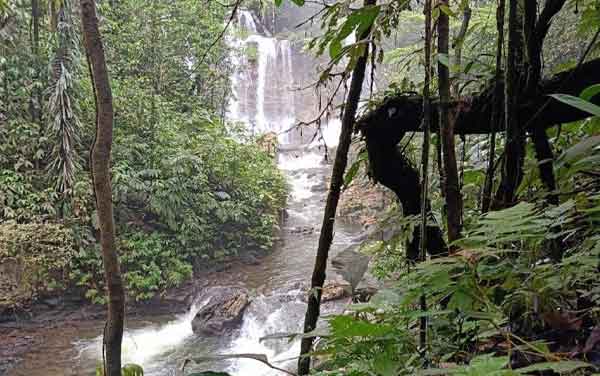 PLN Bangun PLTM Wabudori 12 MW