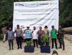 Lindungi Pesisir-Dukung Ekowisata: PLN UP3 Manokwari Tanam 1.000 Bibit Mangrove