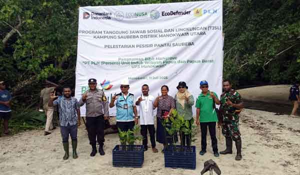 PLN Manok Tanam 1000 Mangrove