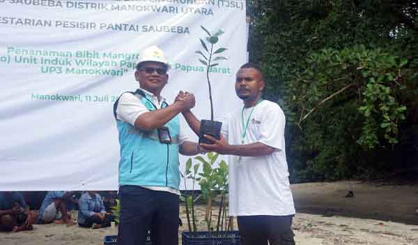PLN Manok Tanam 1000 Mangrove2