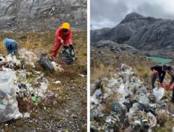 Karyawan PTFI Bersih-bersih Sampah di Jalur Pendakian Carstensz, Total Capai 76 Karung