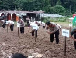 Wali Kota : Pemkot Ambon Dukung Penuh Program Swasembada Pangan 2025