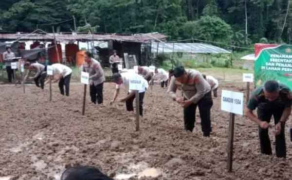 Pemkot Ambon Dykung Swasembada Pangan 2025