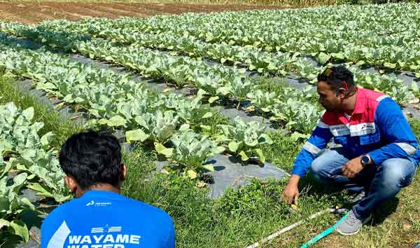 Pertamina Wayame Hydro Bae3