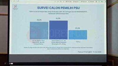 Survei JSI