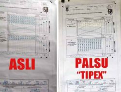 Ini Bukti C Plano Asli vs Ti-pex: Masyarakat Mamberamo Raya Tuntut Proses Hukum Pelaku