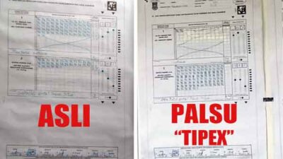 Ini Bukti C Plano Asli vs Ti-pex: Masyarakat Mamberamo Raya Tuntut Proses Hukum Pelaku