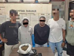 Polisi Amankan Dua Pengedar Ganja di Jayapura, Terancam 12 Tahun Penjara