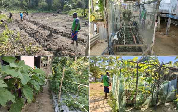 Kisah Jefry Rumbrawer: Petani Milenial yang Ubah Kampung Mobi Jadi Sentra Sayur Organik 3 Jefri Rumbrawer Local Hero Petrogas