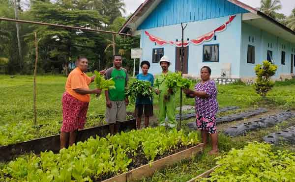 Kisah Jefry Rumbrawer: Petani Milenial yang Ubah Kampung Mobi Jadi Sentra Sayur Organik 1 Jefri Rumbrawer Local Hero Petrogas2