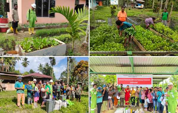 Kisah Jefry Rumbrawer: Petani Milenial yang Ubah Kampung Mobi Jadi Sentra Sayur Organik 4 Jefri Rumbrawer Local Hero Petrogas3