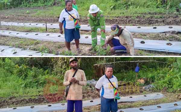 Kisah Jefry Rumbrawer: Petani Milenial yang Ubah Kampung Mobi Jadi Sentra Sayur Organik 2 Jefri Rumbrawer Local Hero Petrogas4