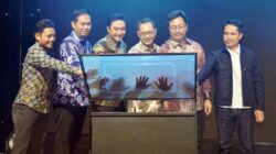 PLN HCS Versi Terbaru