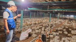 PLN Jaga Tarif Listrik 2025