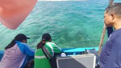 Taman Laut Pertamina, Upaya Bersama DLH Biak Lestarikan Ekosistem Pesisir Laut Waupnor