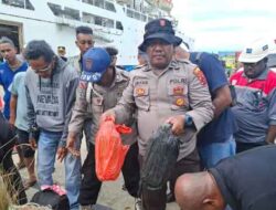 Polisi Gagalkan Milo Sopi Asal Ambon Masuk Kota Jayapura, Ratusan Liter Disita