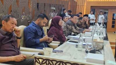 Saadiah uluputty kritik keras Regulasi Desa