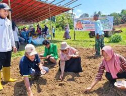 Hadiri Taman Jagung Bersama di Telaga Kodok, Saadiah Uluputty Bawa Bantuan Alsintan