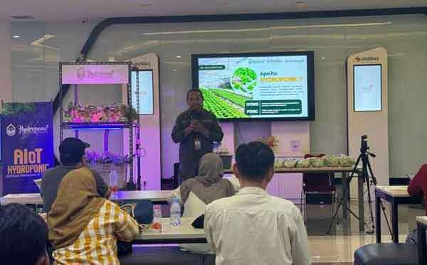Kolaborasi Indibiz KTI dan SGH, Kembangkan Pembelajaran dan Bisnis Hidroponik Berkelanjutan 1 Kolaborasi Indibiz KTI dan SGH Hidroponik Berkelanjutan