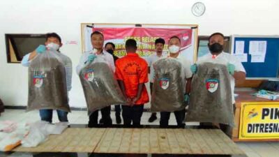 Polda Papua Tumpas Sindikat Narkotika Lintas Negara, WN PNG Dibekuk Bawa 21 Kg Ganja