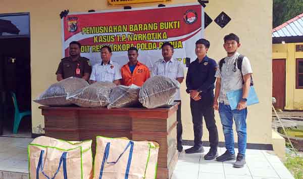 Polda Papua Musnahkan 213 Kg Ganja Asal PNG