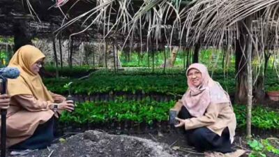 Saadiah Uluputty Dua Desa di SBB