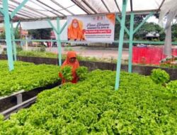 Dorong Pengembangan Pertanian, Saadiah Uluputty Siap Fasilitasi Petani Muda Masohi