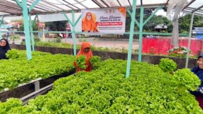 Saadiah Uluputty Petani Muda Masohi