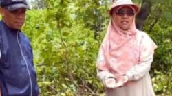 Kunjungi Pulau Tam, Saadiah Uluputty Dorong Percepatan Konektivitas di Maluku 4 Saadiah uluputty Amir Rumra Pulau Tam