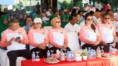 Lisa Wattimena Sinergi PKK dan DWP