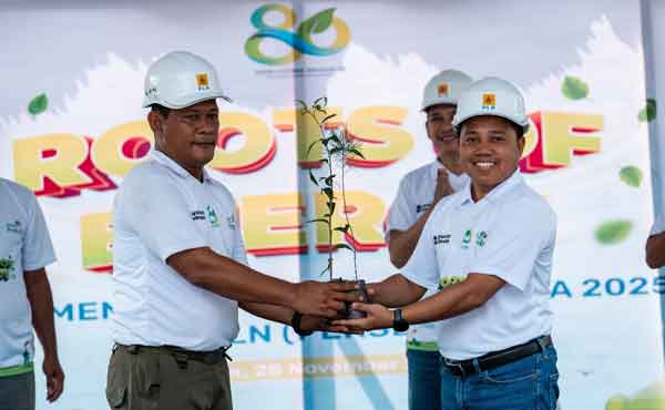 Rehabilitasi Pesisir Holtekamp Jayapura, PLN Tanam Ribuan Pohon 2 PLN Tanam Ribuan Pohon di Holtekamp2